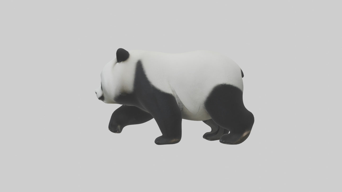 3D model Panda walking model VR / AR / low-poly