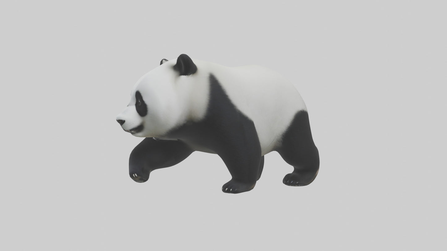 3D model Panda walking model VR / AR / low-poly