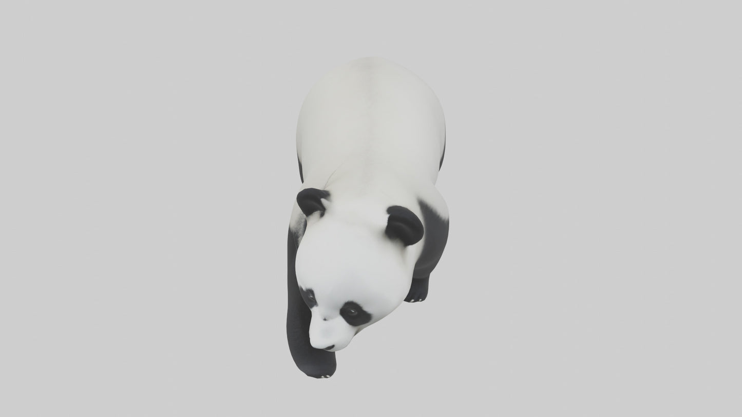 3D model Panda walking model VR / AR / low-poly