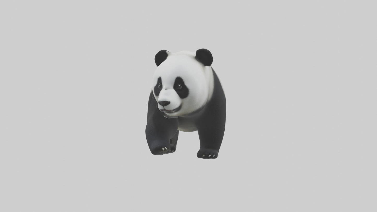 3D model Panda walking model VR / AR / low-poly