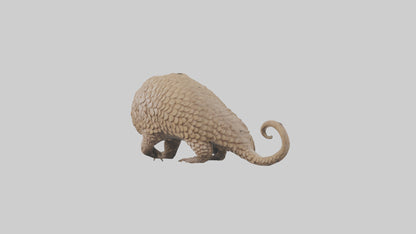 3D model Pangolin Body Model VR / AR / low-poly