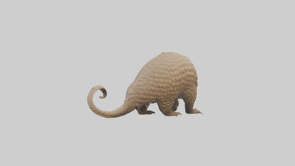3D model Pangolin Body Model VR / AR / low-poly