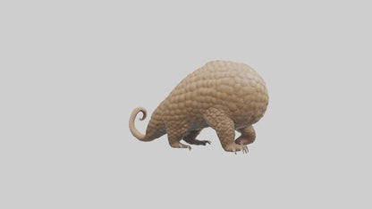 3D model Pangolin Body Model VR / AR / low-poly