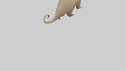 3D model Pangolin Body Model VR / AR / low-poly