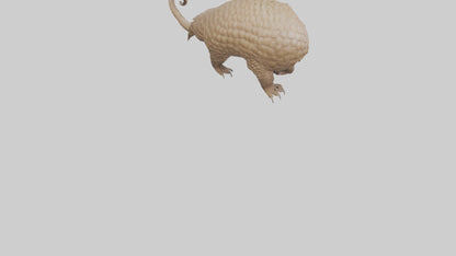 3D model Pangolin Body Model VR / AR / low-poly