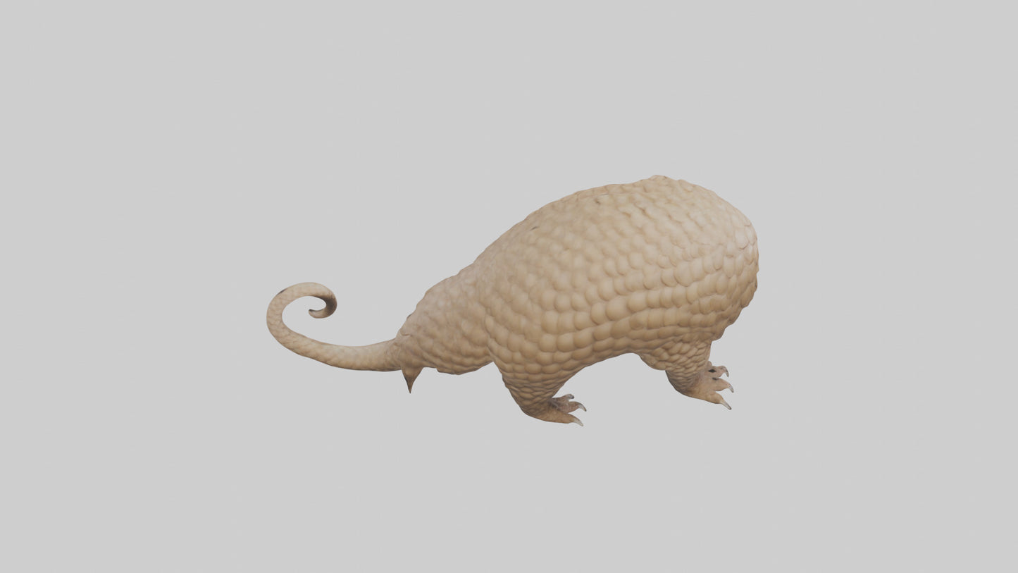 3D model Pangolin Body Model VR / AR / low-poly