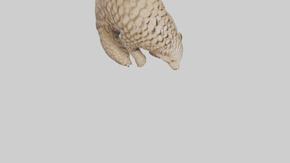 Pangolin curled up model VR / AR / low-poly