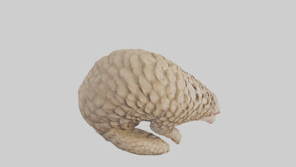 Pangolin curled up model VR / AR / low-poly