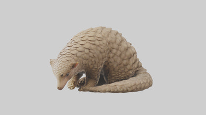 Pangolin curled up model VR / AR / low-poly