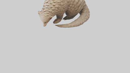 Pangolin curled up model VR / AR / low-poly