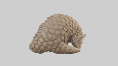Pangolin curled up model VR / AR / low-poly