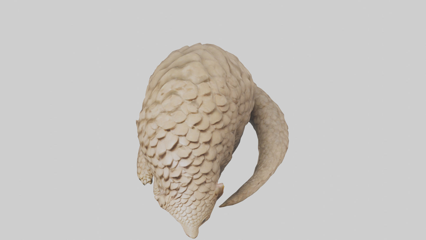Pangolin curled up model VR / AR / low-poly