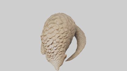 Pangolin curled up model VR / AR / low-poly
