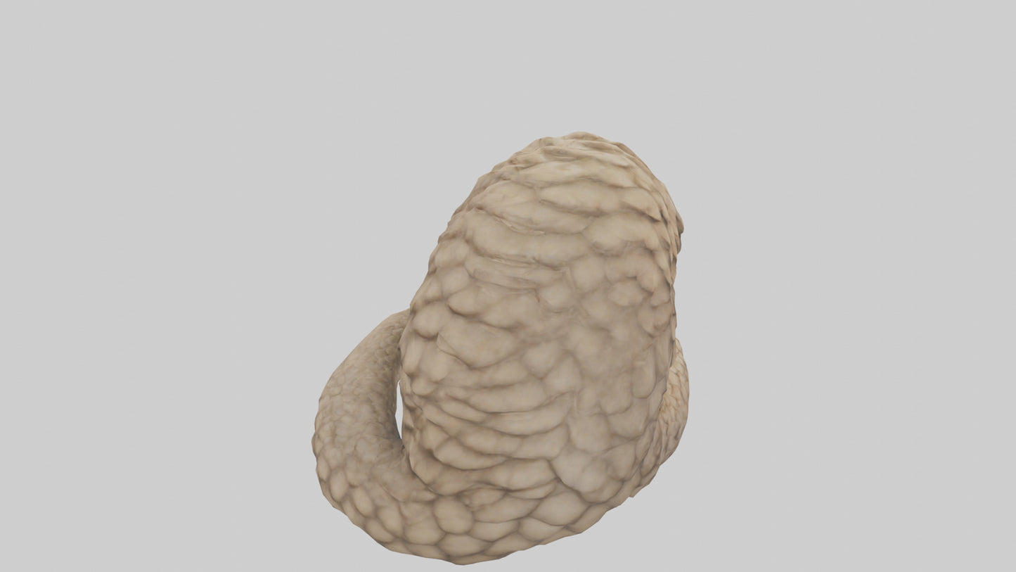 Pangolin curled up model VR / AR / low-poly