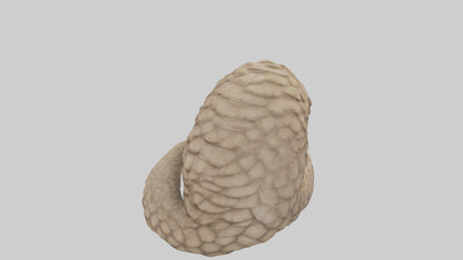 Pangolin curled up model VR / AR / low-poly