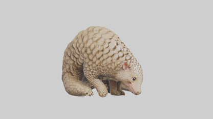 Pangolin curled up model VR / AR / low-poly