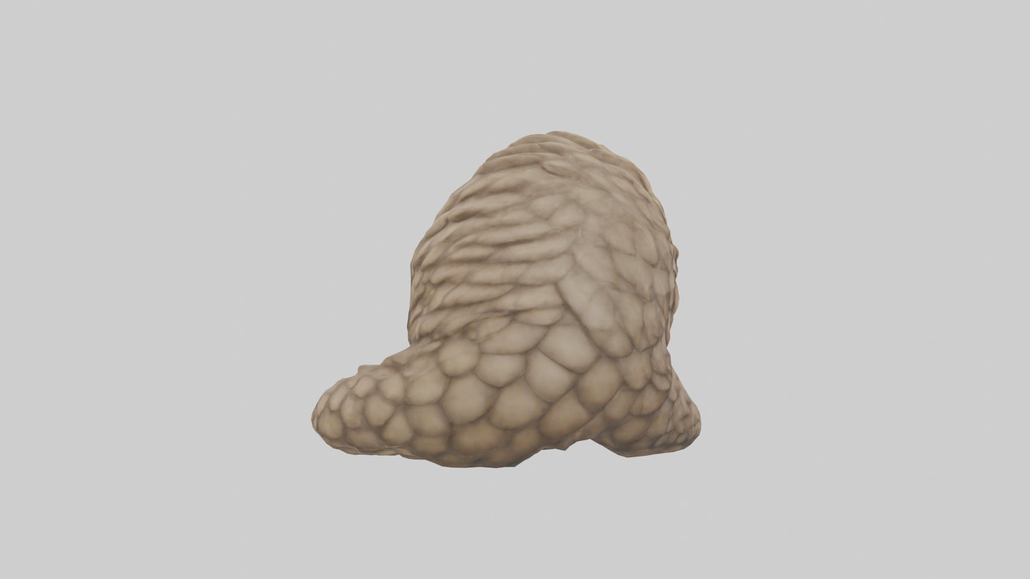 Pangolin curled up model VR / AR / low-poly