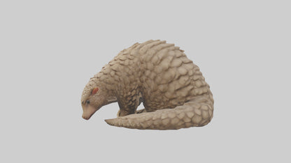 Pangolin curled up model VR / AR / low-poly