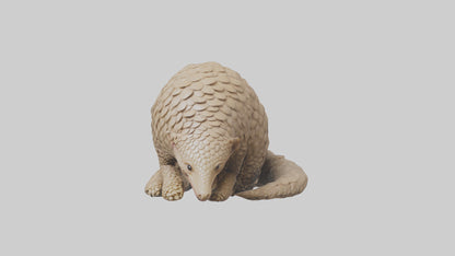 Pangolin curled up model VR / AR / low-poly