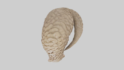 Pangolin curled up model VR / AR / low-poly