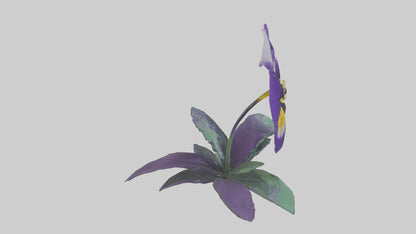 Pansy flower model VR / AR / low-poly