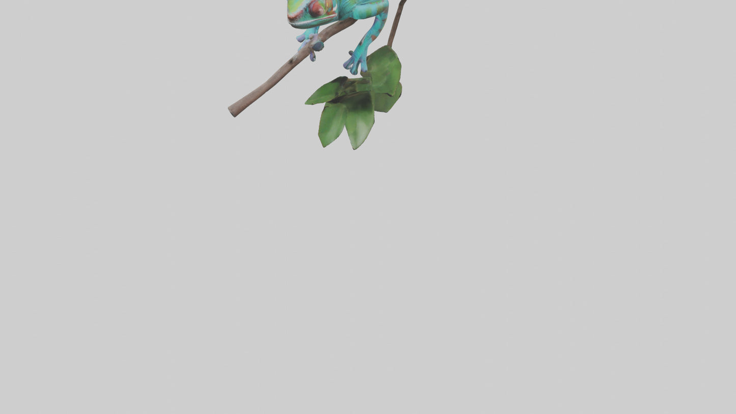 3D model Panther Chameleon climbing model VR / AR / low-poly