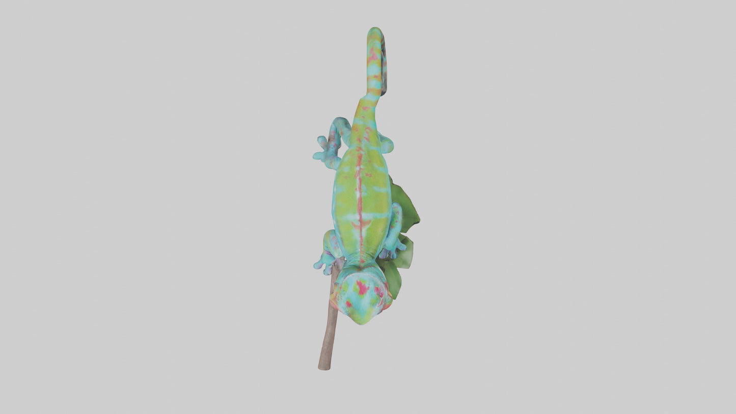 3D model Panther Chameleon climbing model VR / AR / low-poly