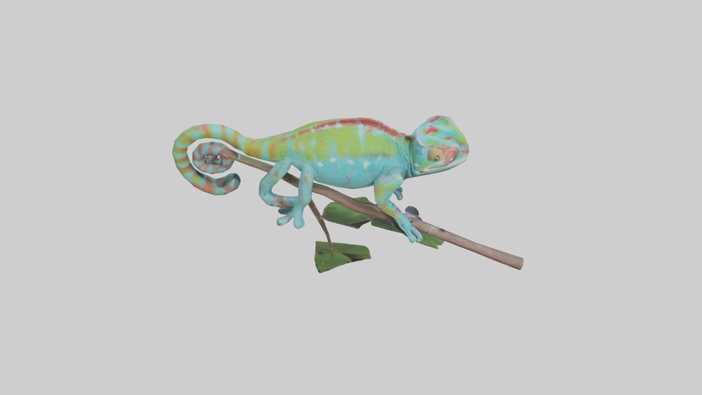 3D model Panther Chameleon climbing model VR / AR / low-poly