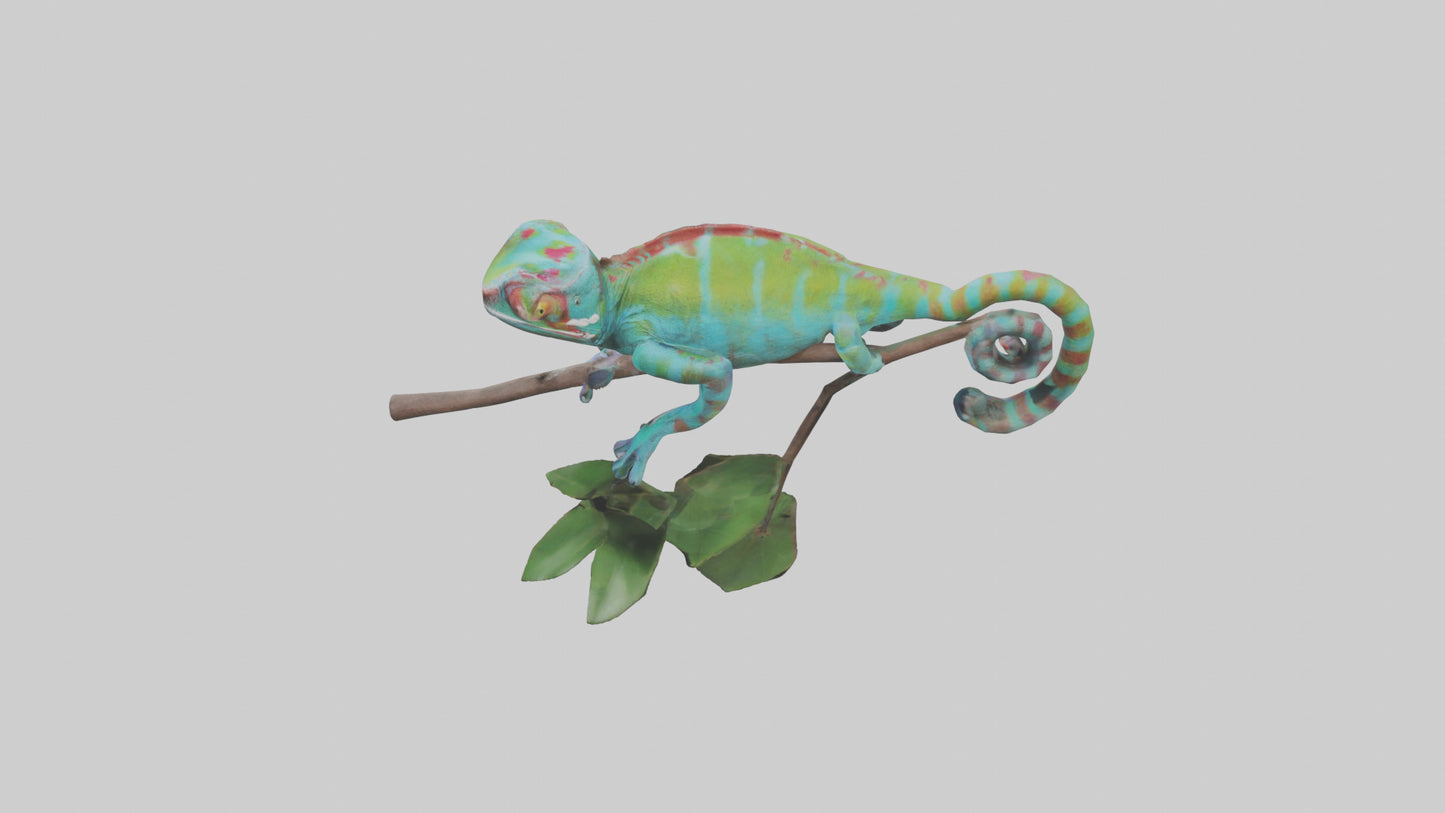 3D model Panther Chameleon climbing model VR / AR / low-poly