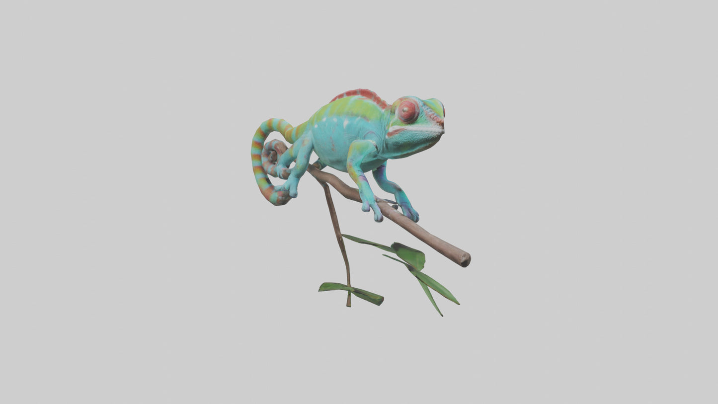 3D model Panther Chameleon climbing model VR / AR / low-poly