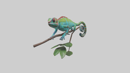 3D model Panther Chameleon climbing model VR / AR / low-poly