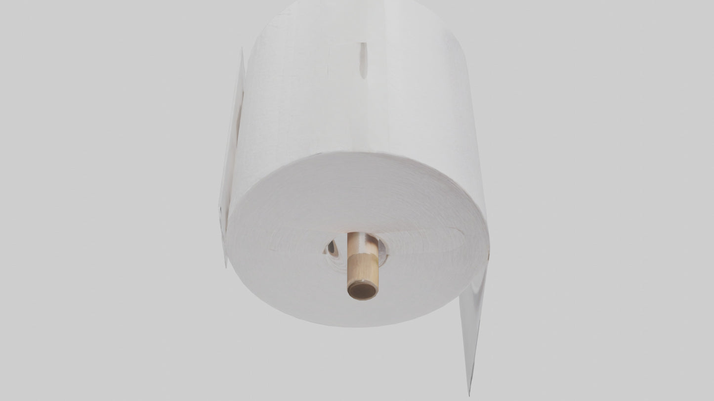 3D model Paper towels model VR / AR / low-poly