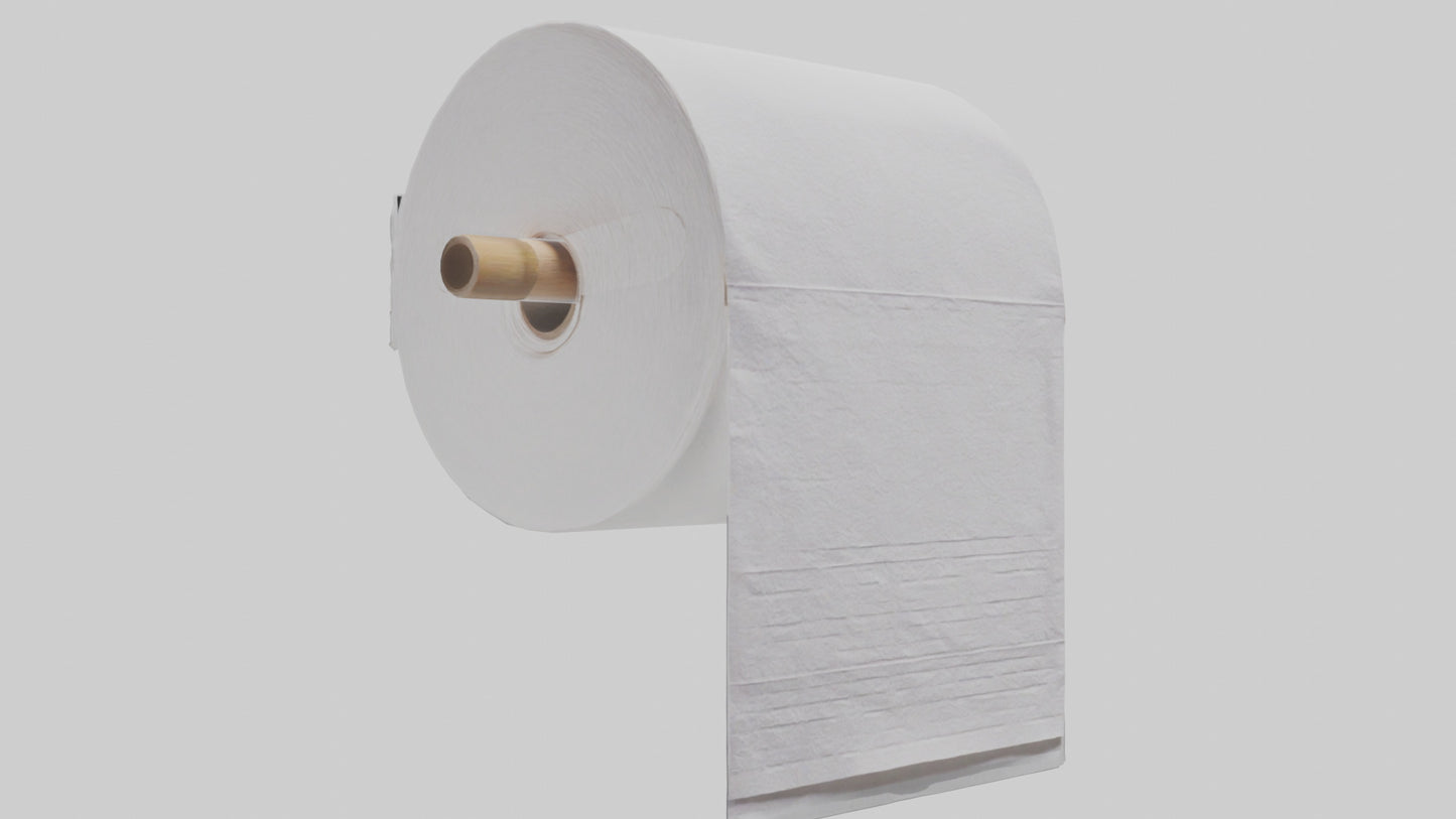 3D model Paper towels model VR / AR / low-poly