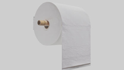 3D model Paper towels model VR / AR / low-poly