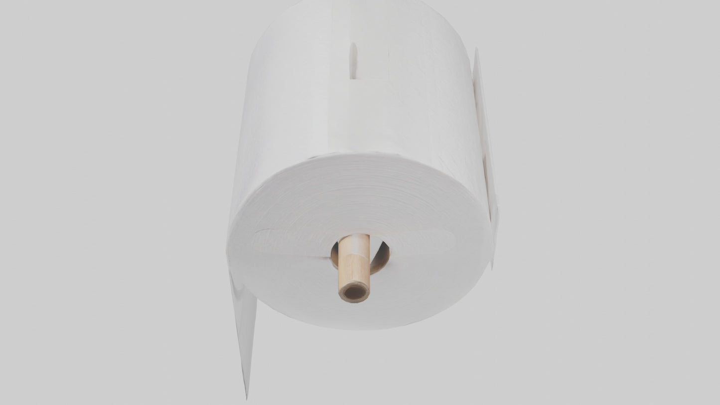 3D model Paper towels model VR / AR / low-poly