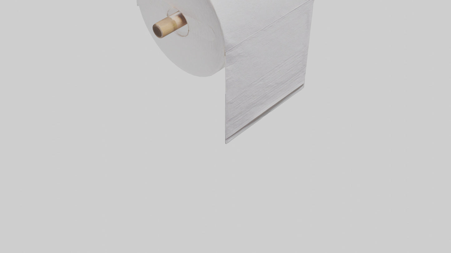 3D model Paper towels model VR / AR / low-poly