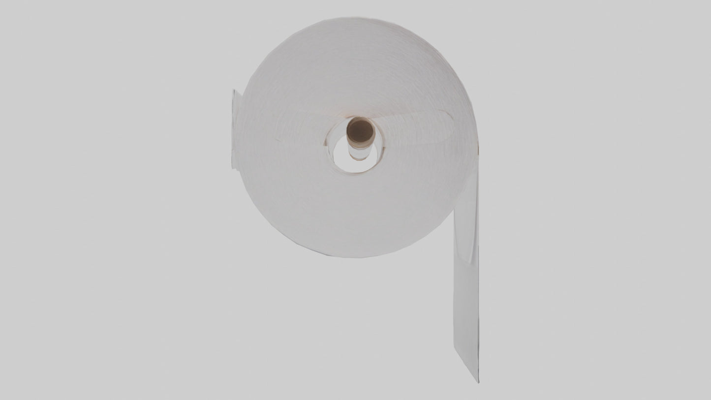 3D model Paper towels model VR / AR / low-poly