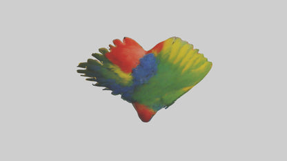3D model Parrot Heart VR / AR / low-poly