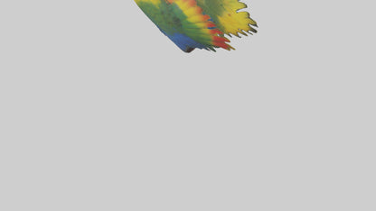 3D model Parrot Heart VR / AR / low-poly