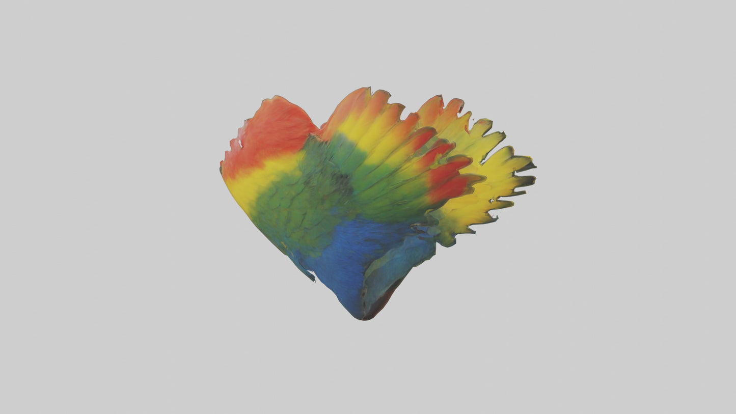 3D model Parrot Heart VR / AR / low-poly