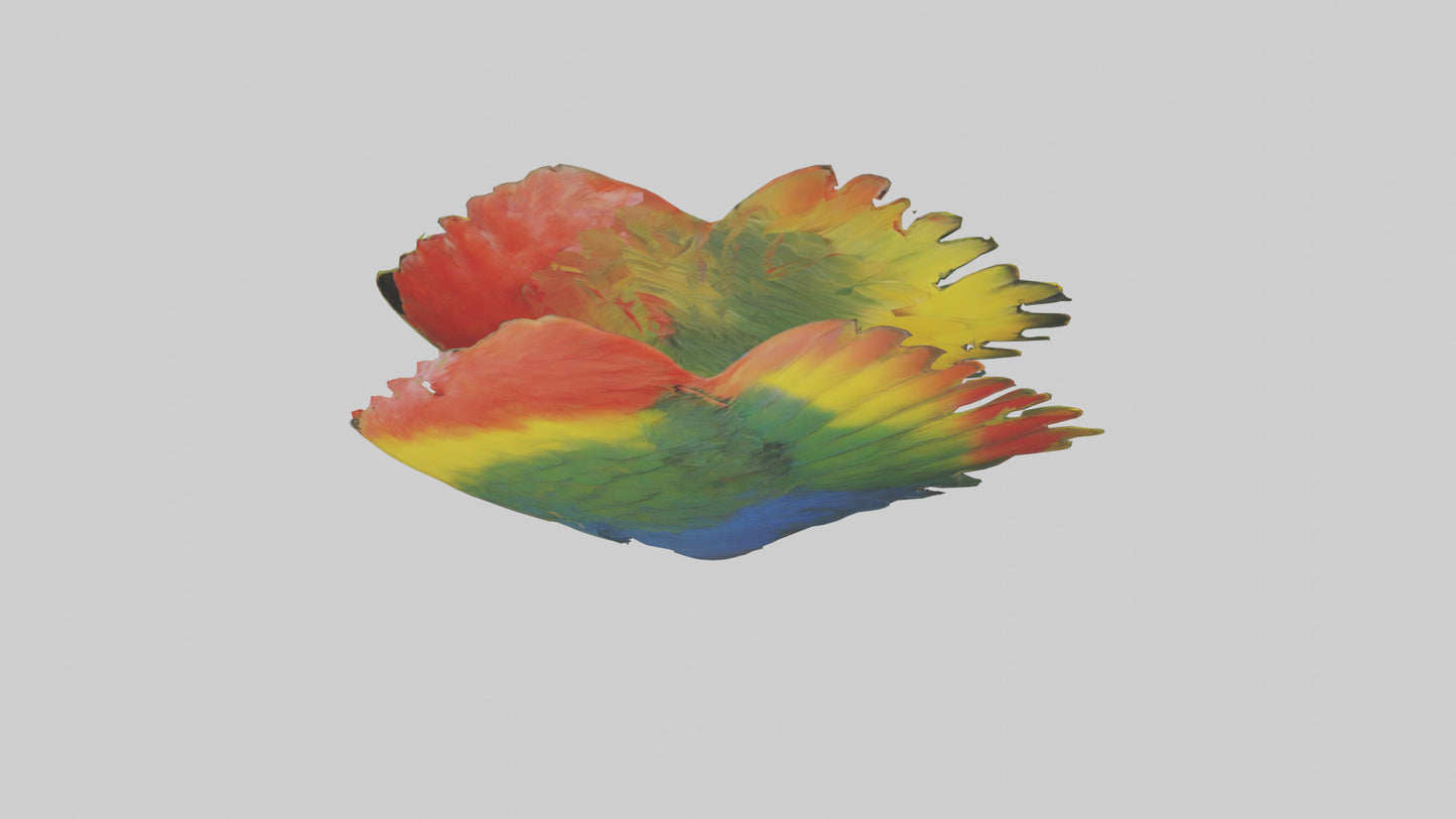 3D model Parrot Heart VR / AR / low-poly