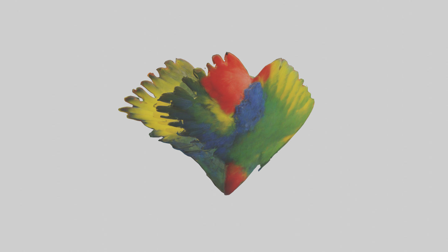 3D model Parrot Heart VR / AR / low-poly