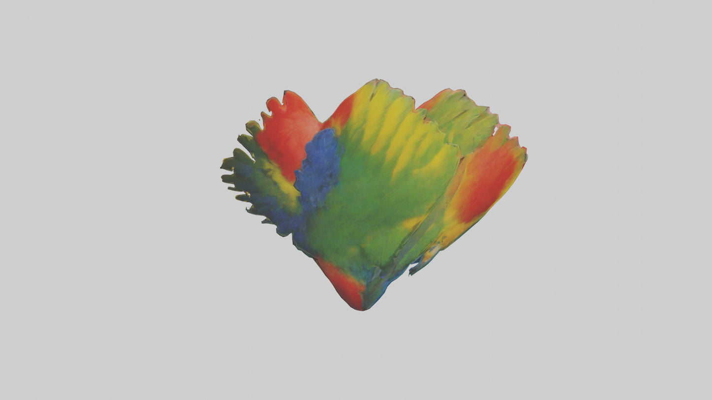 3D model Parrot Heart VR / AR / low-poly