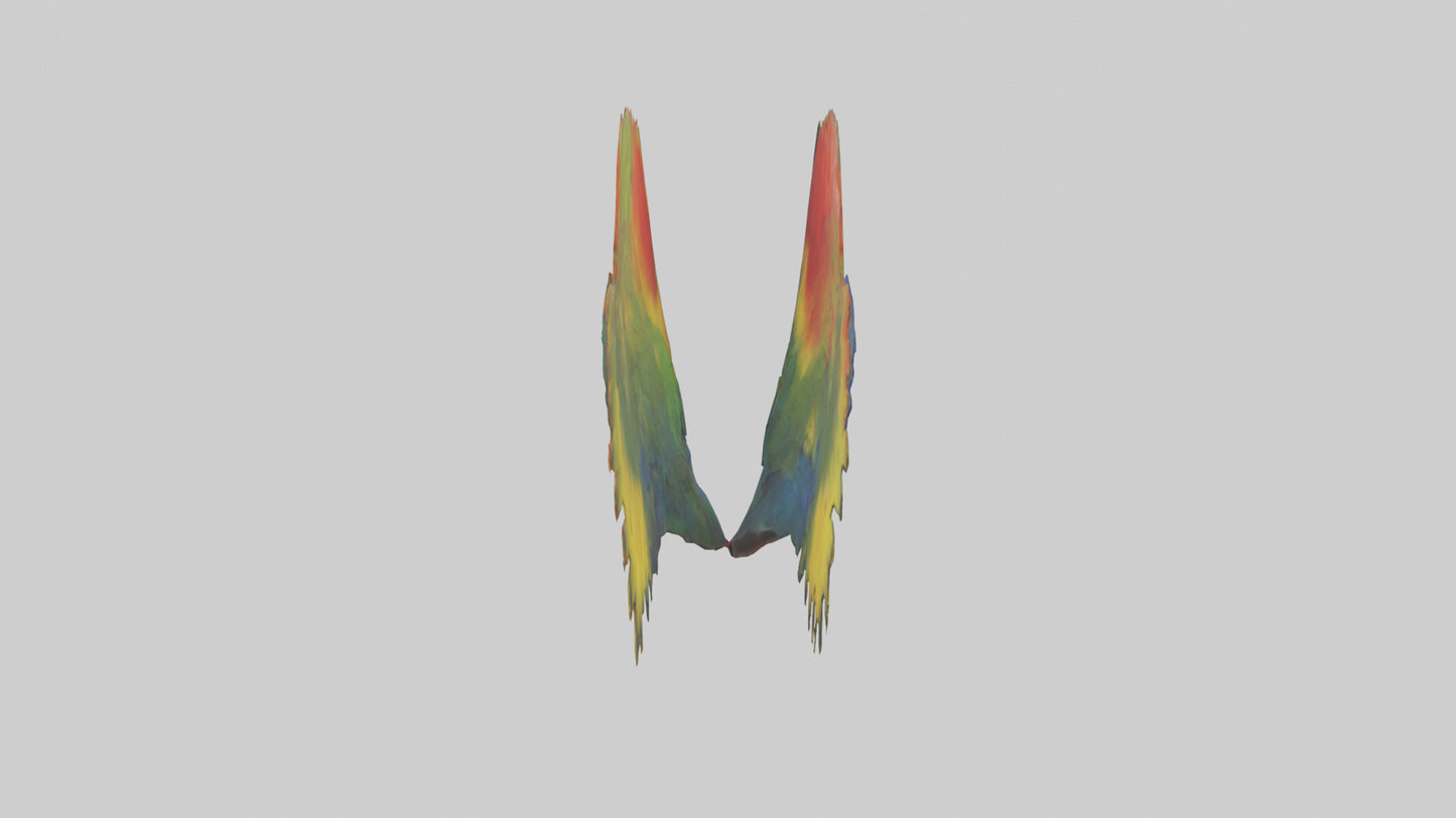 3D model Parrot Heart VR / AR / low-poly