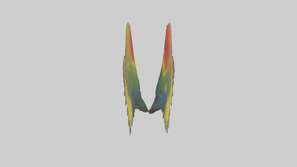 3D model Parrot Heart VR / AR / low-poly