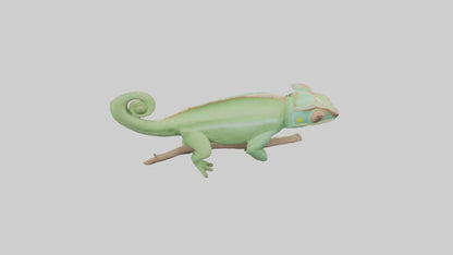 Parsons Chameleon displaying model VR / AR / low-poly
