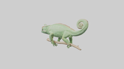Parsons Chameleon displaying model VR / AR / low-poly