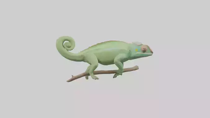 Parsons Chameleon displaying model VR / AR / low-poly