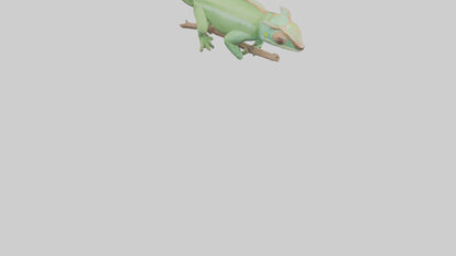 Parsons Chameleon displaying model VR / AR / low-poly