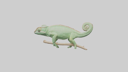 Parsons Chameleon displaying model VR / AR / low-poly